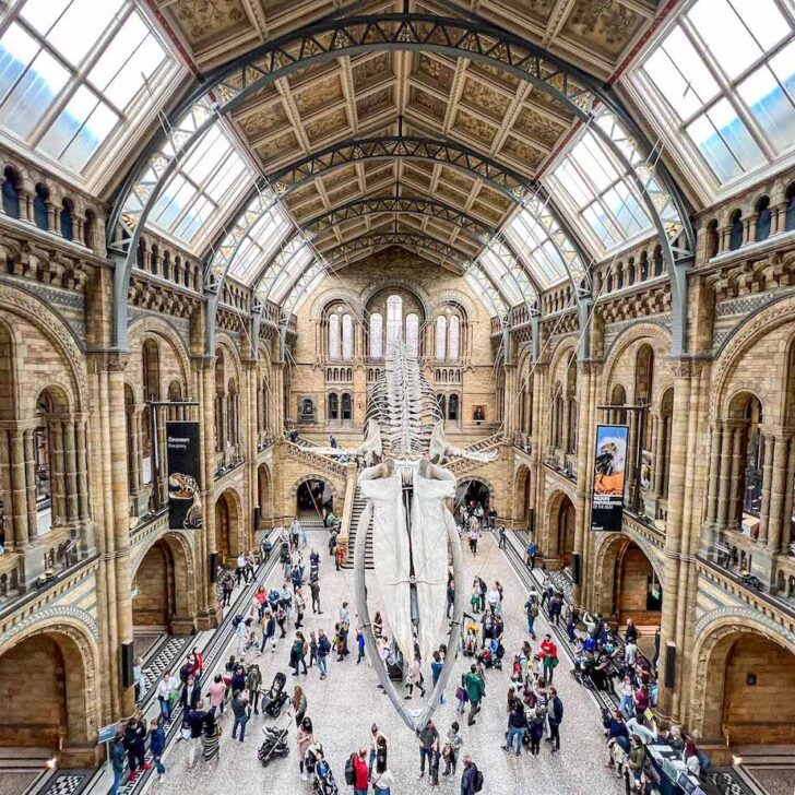The Wandering Quinn Travel Blog London with kids, London with kids itinerary,