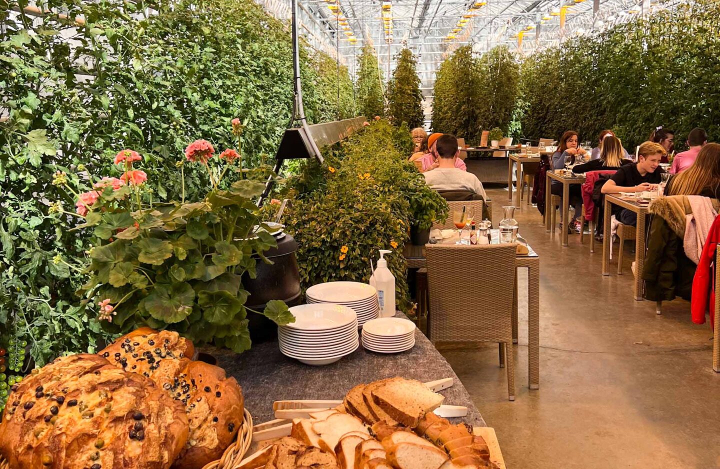 frioheimar Greenhouse restaurant, iceland - frioheimar Greenhouse restaurant, iceland