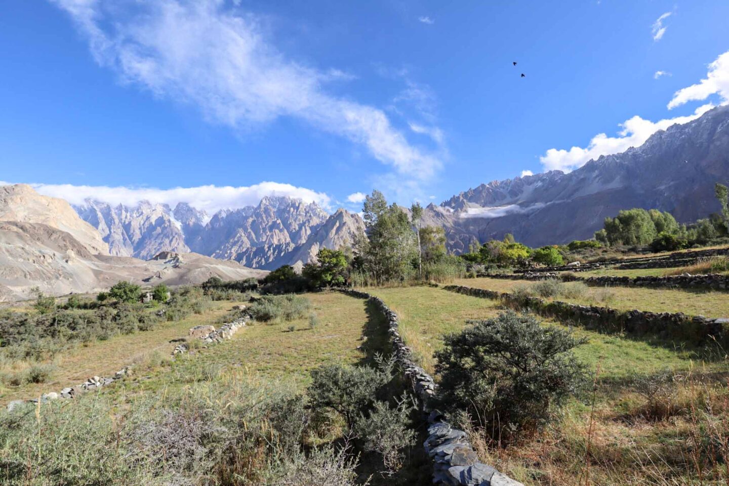 Hunza orchids, 2 week women's Pakistan group tour - Hunza orchids, 2 week women's Pakistan group tour