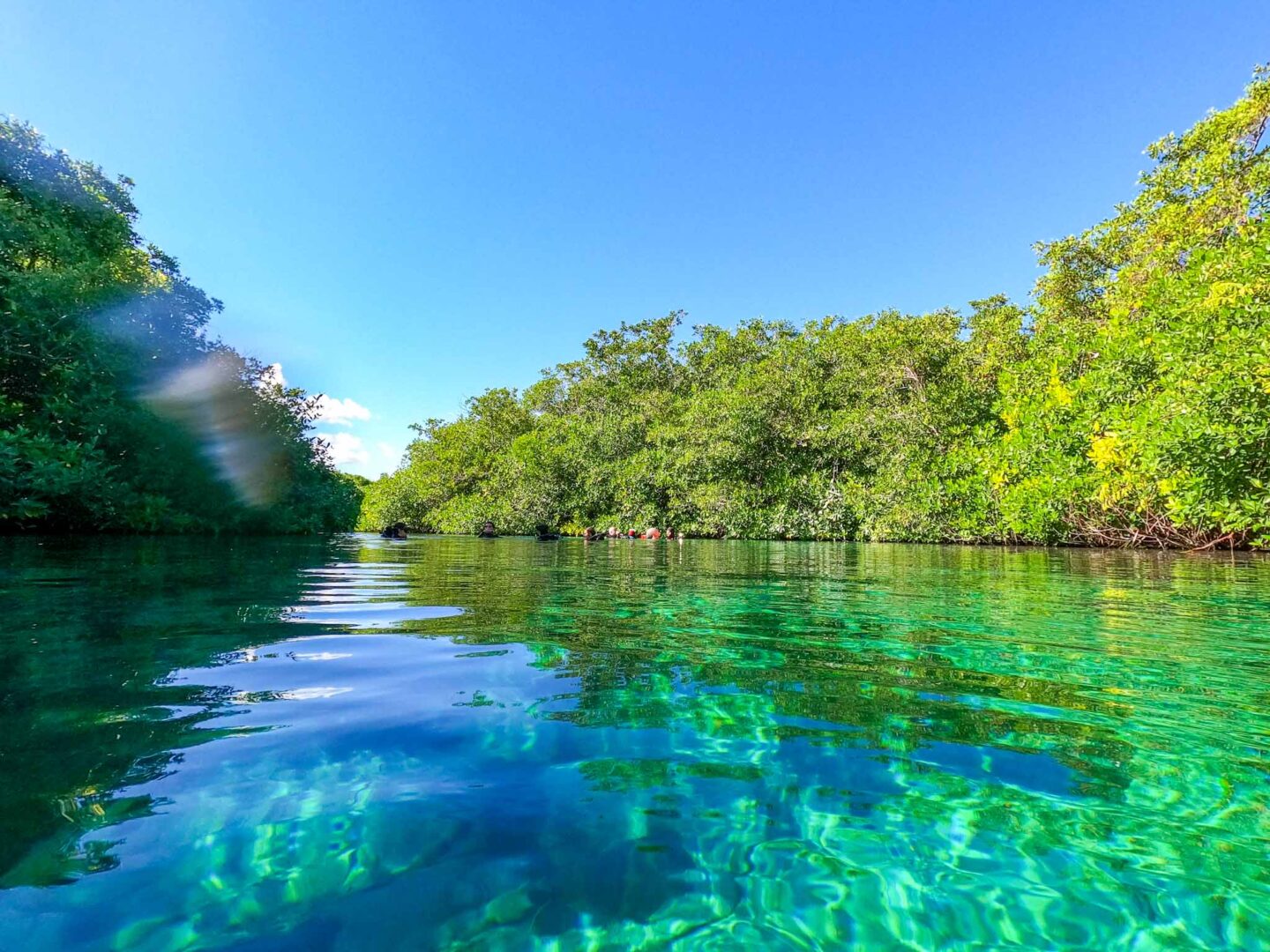 Inside Casa Cenote near Tulum, Yucatan Road Trip, 1 week Mexico itinerary,.JPG - Inside Casa Cenote near Tulum, Yucatan Road Trip, 1 week Mexico itinerary,