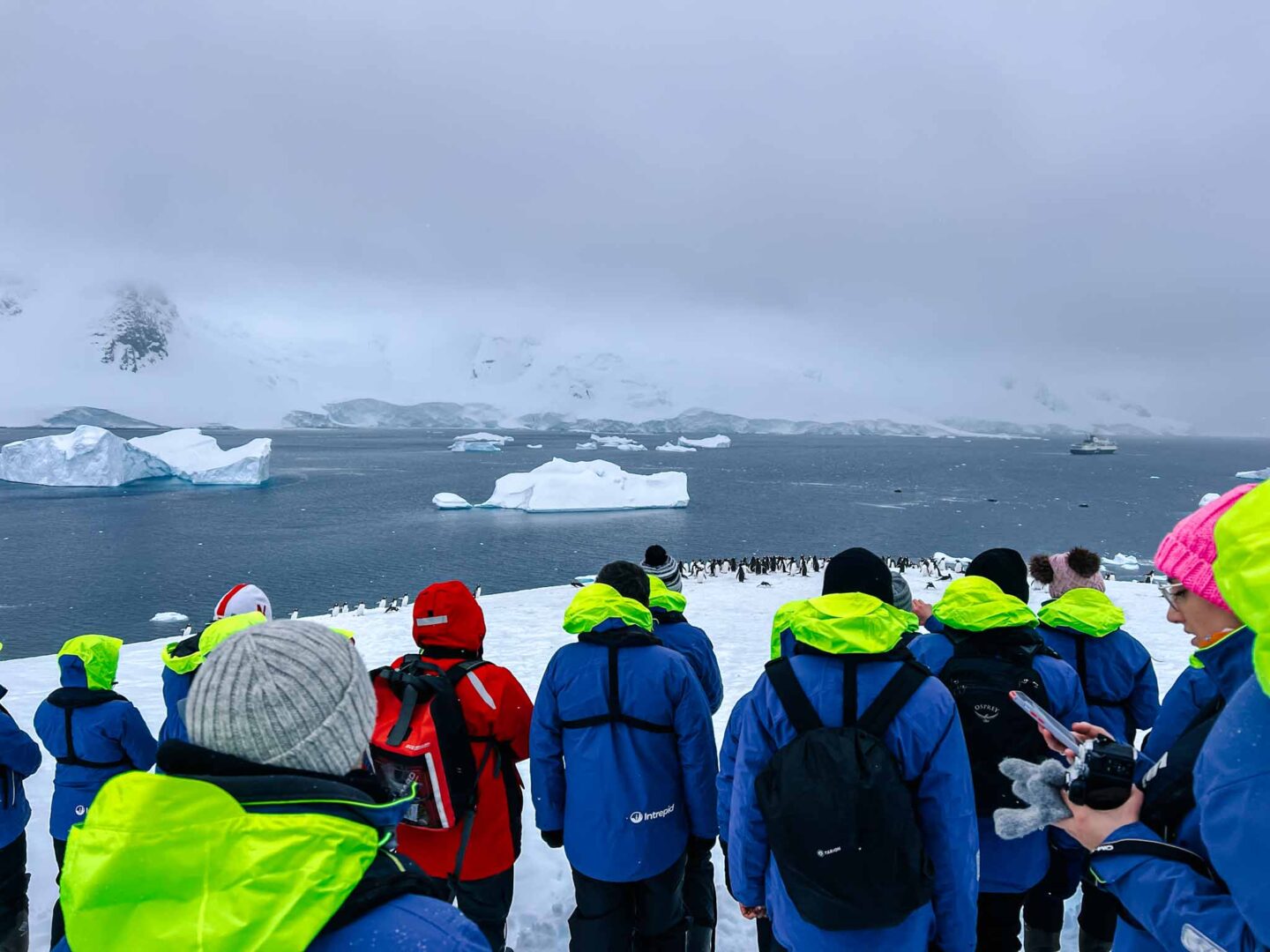 people in Antarctica, Can you visit Antarctica, - people in Antarctica, Can you visit Antarctica,