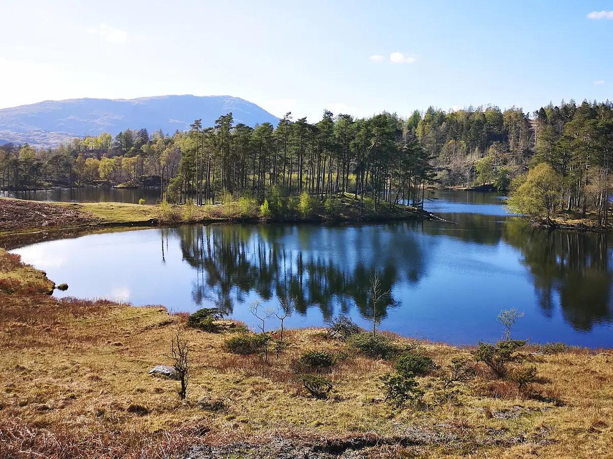 Lake District National Park - The Wandering Quinn Travel Blog Tarn Hows in Lake District National Park, manchester day trips, nice places around Manchester