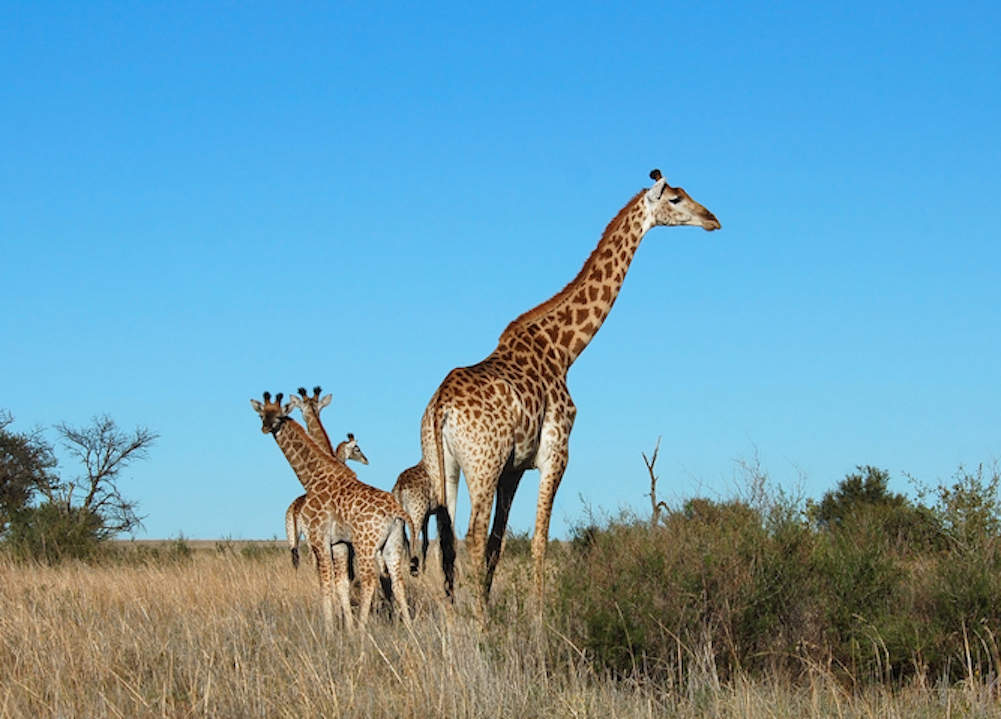 best places to visit in Africa in July August