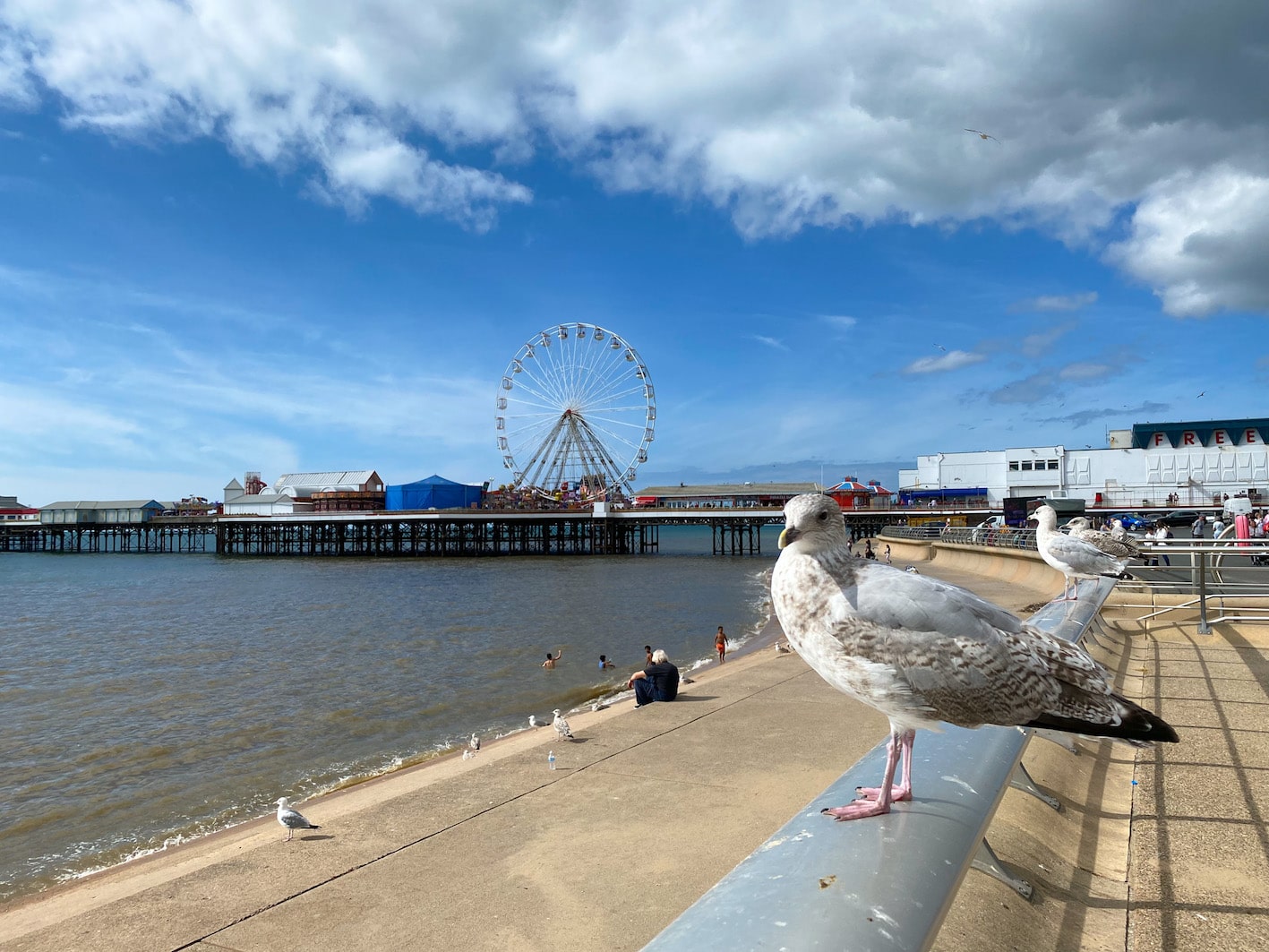 Blackpool Pier - The Wandering Quinn Travel Blog Blackpool Pier, day tours from Manchester, top places to visit in Manchester