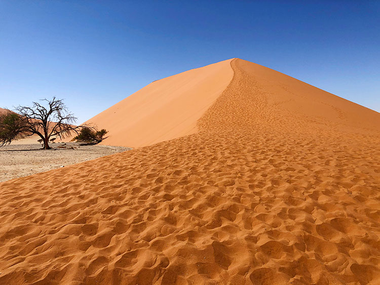 The Wandering Quinn Travel Blog Dune 45 in Namibia, one of the sunny destinations in july and august, warm places to visit in july in south africa
