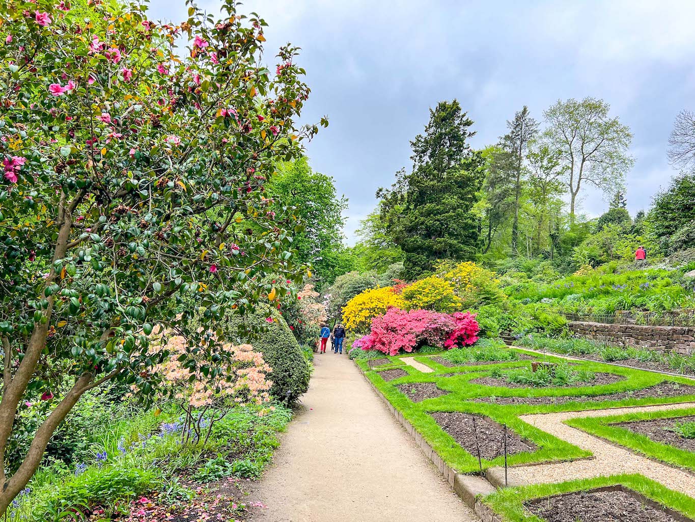 Quarry Bank Gardens in Spring, Family Days Out in Manchester, Manchester with kids, - Quarry Bank Gardens in Spring, Family Days Out in Manchester, Manchester with kids,