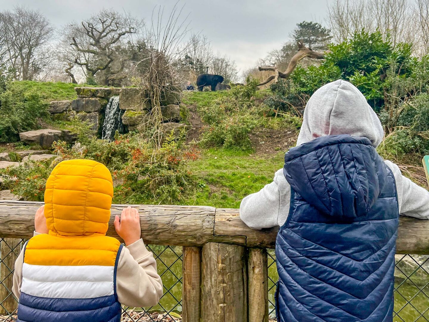 Family Days Out Near Manchester, Boys at Chester Zoo - Family Days Out Near Manchester, Boys at Chester Zoo