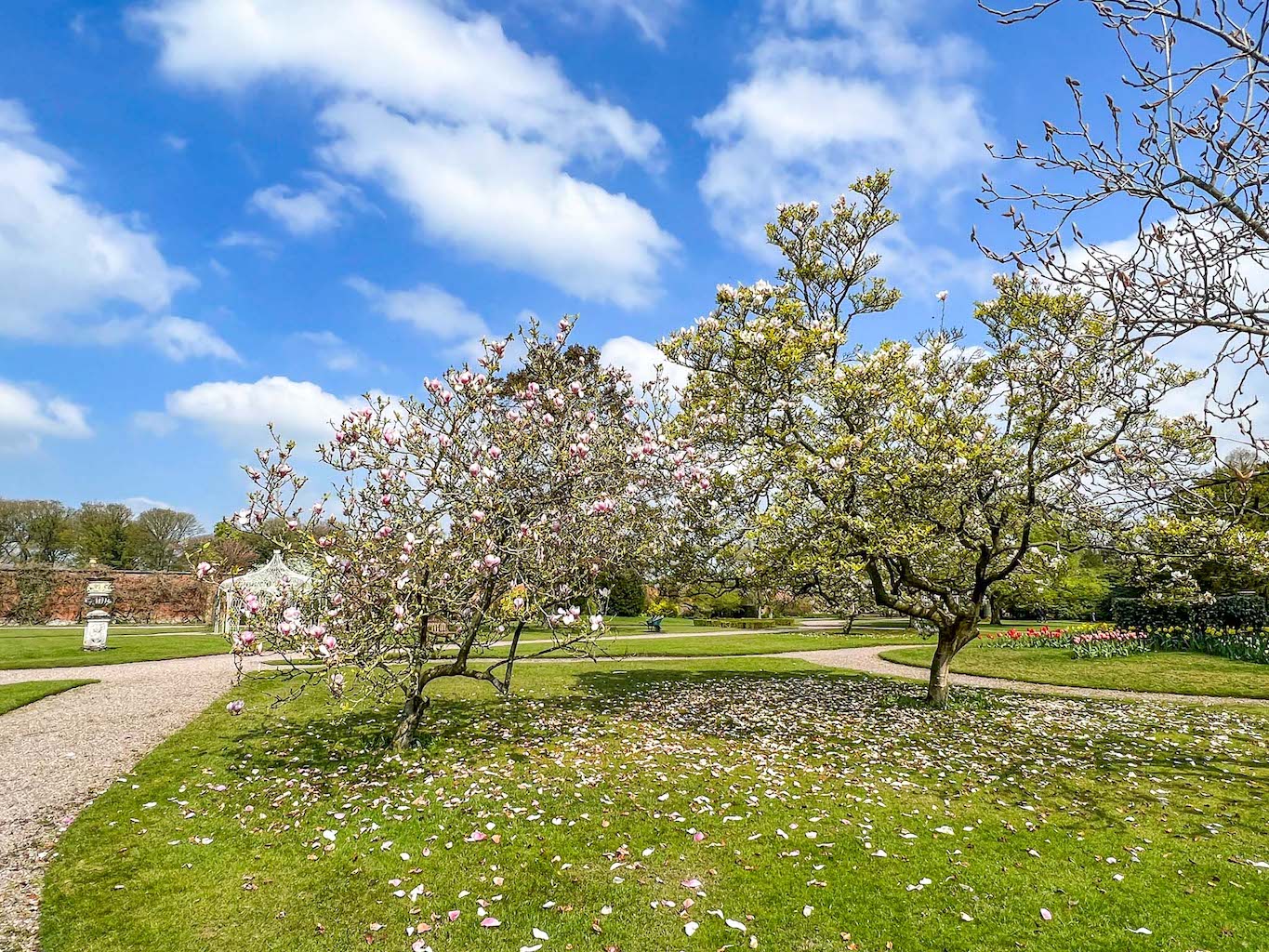 National Trust Manchester, Tatton Park Spring Blossom - National Trust Manchester, Tatton Park Spring Blossom