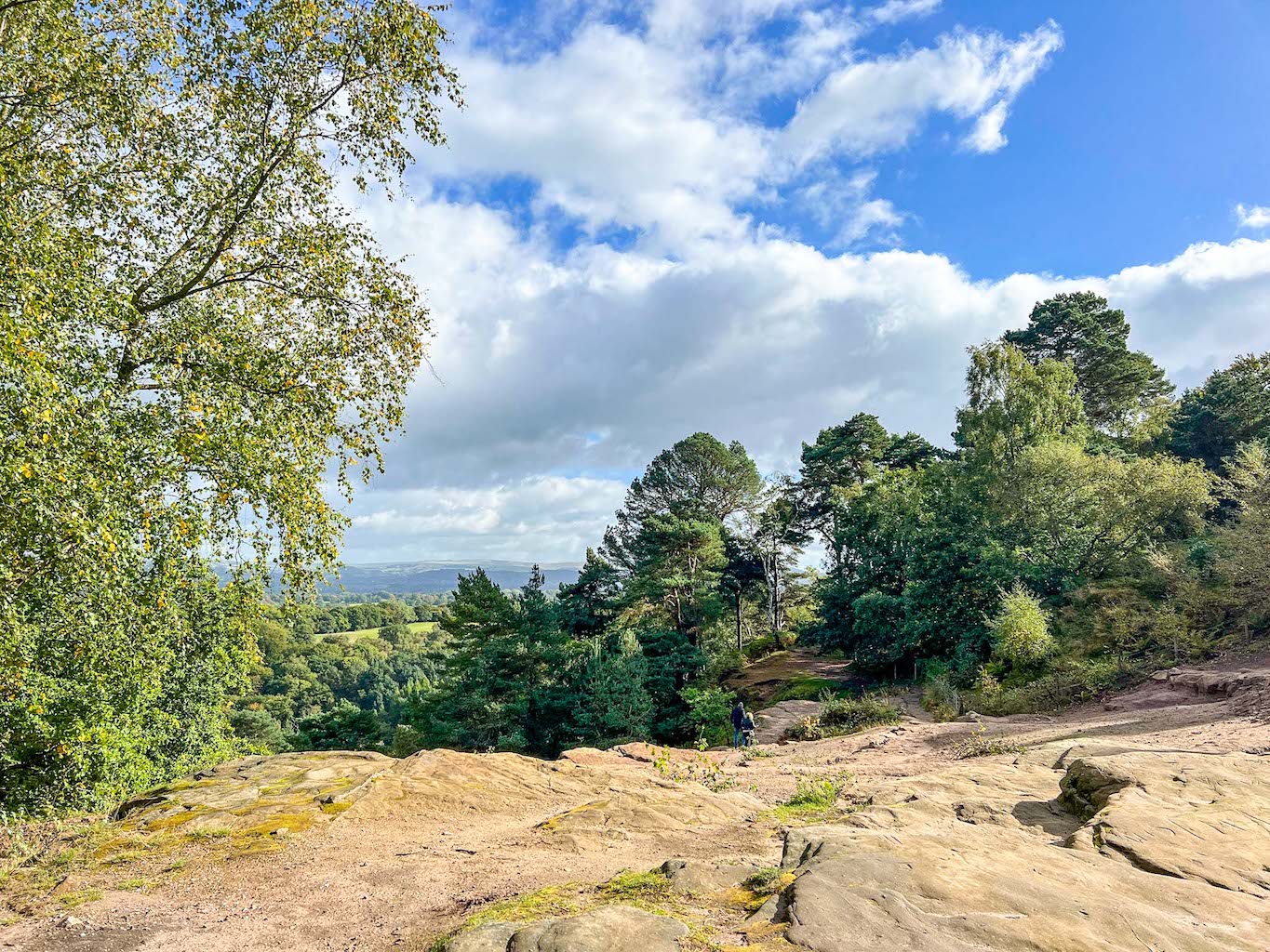 Things to do near Manchester Airport, Alderley Edge woodland - Things to do near Manchester Airport, Alderley Edge woodland