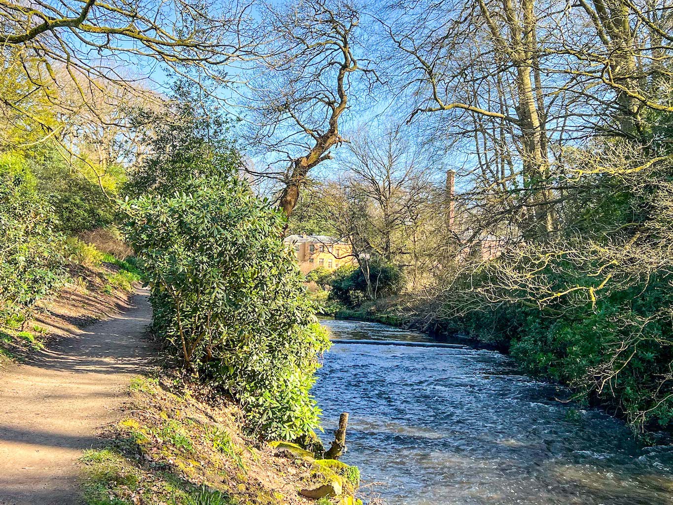 National Trust Manchester, quarry bank mill river woodland walk - National Trust Manchester, quarry bank mill river woodland walk