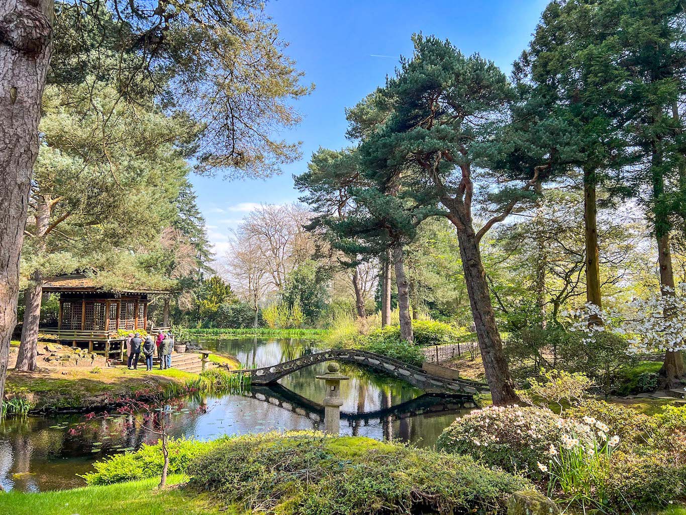 Things to do in Altrincham, Japanese Garden at Tatton Park near Altrincham - Things to do in Altrincham, Japanese Garden at Tatton Park near Altrincham