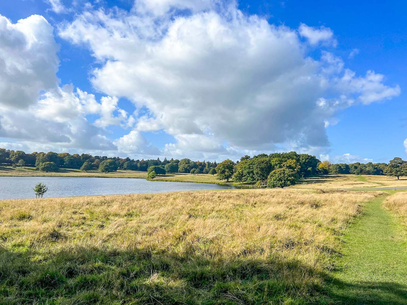 Things to do in Altrincham, Lake and field at Tatton Park near Altrincham - Things to do in Altrincham, Lake and field at Tatton Park near Altrincham