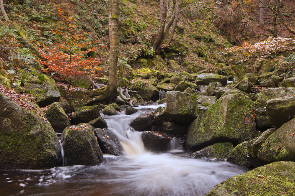 Burbage Brook on the Padley Gorge walk, Easy Walks Peak District, - Burbage Brook on the Padley Gorge walk, Easy Walks Peak District,