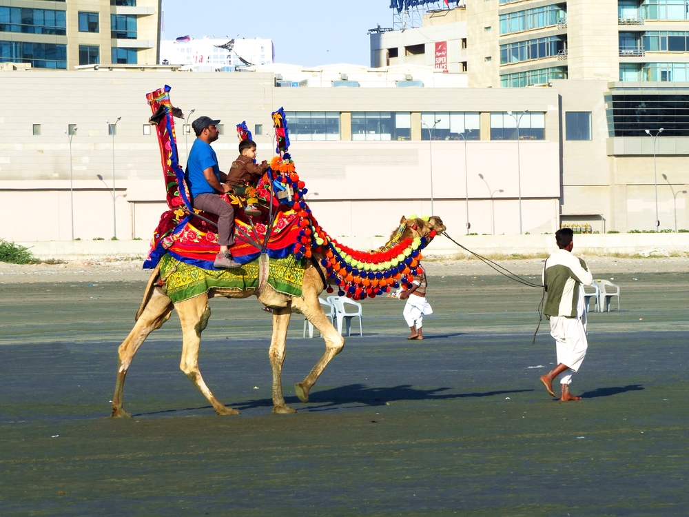 places to visit in karachi, camel riding at Clifton Beach - places to visit in karachi, camel riding at Clifton Beach