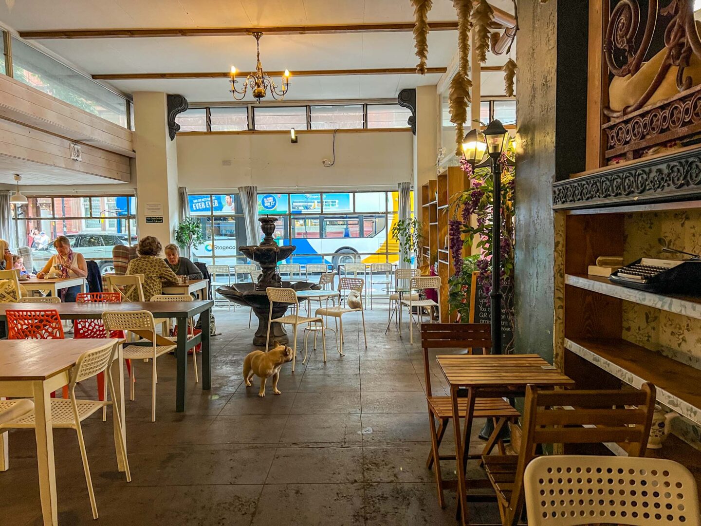 different types of seating in chapter one books cafe manchester, Manchester cafes to work from, - different types of seating in chapter one books cafe manchester, Manchester cafes to work from,
