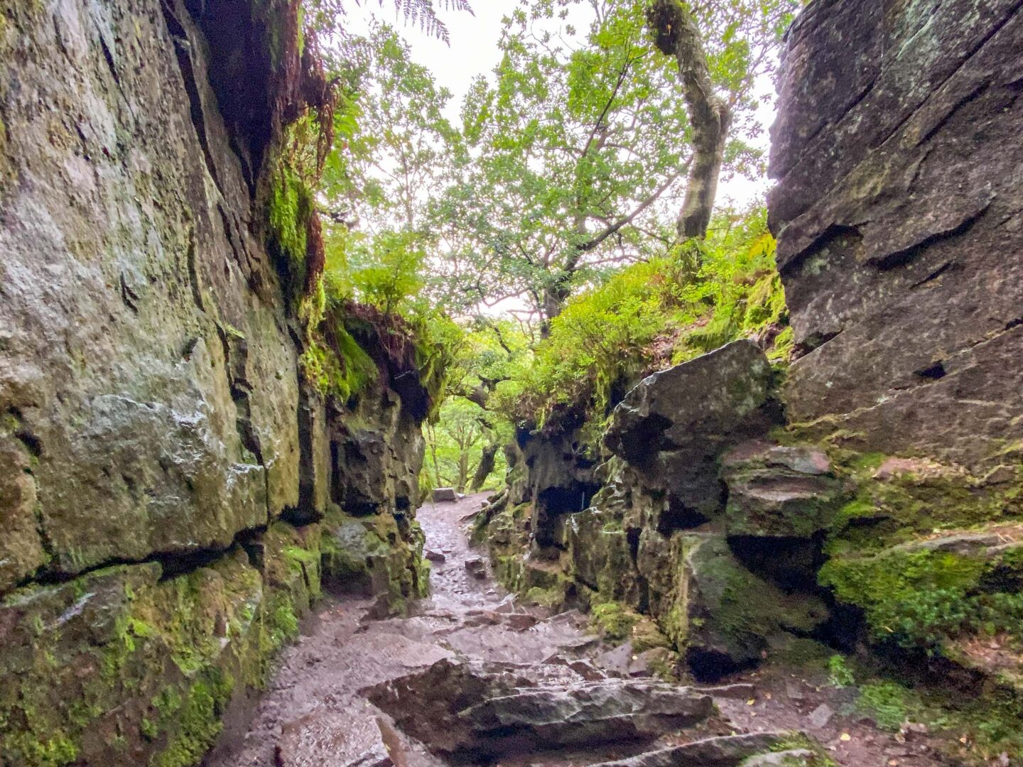 Lud's Church Rock Formation, Easy Walks Peak District, - Lud's Church Rock Formation, Easy Walks Peak District,