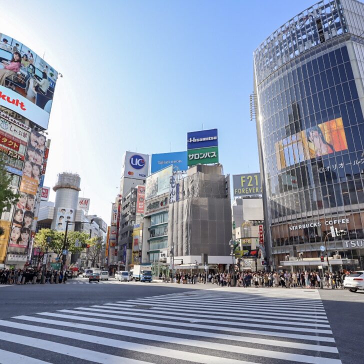 The Wandering Quinn Travel Blog Tokyo 2 day itinerary