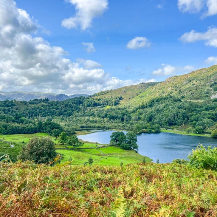 The Wandering Quinn Travel Blog Rydal Caves
