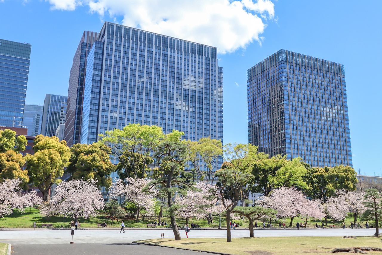 Tokyo 2 day itinerary, Ueno Park with cherry blossoms - Tokyo 2 day itinerary, Ueno Park with cherry blossoms