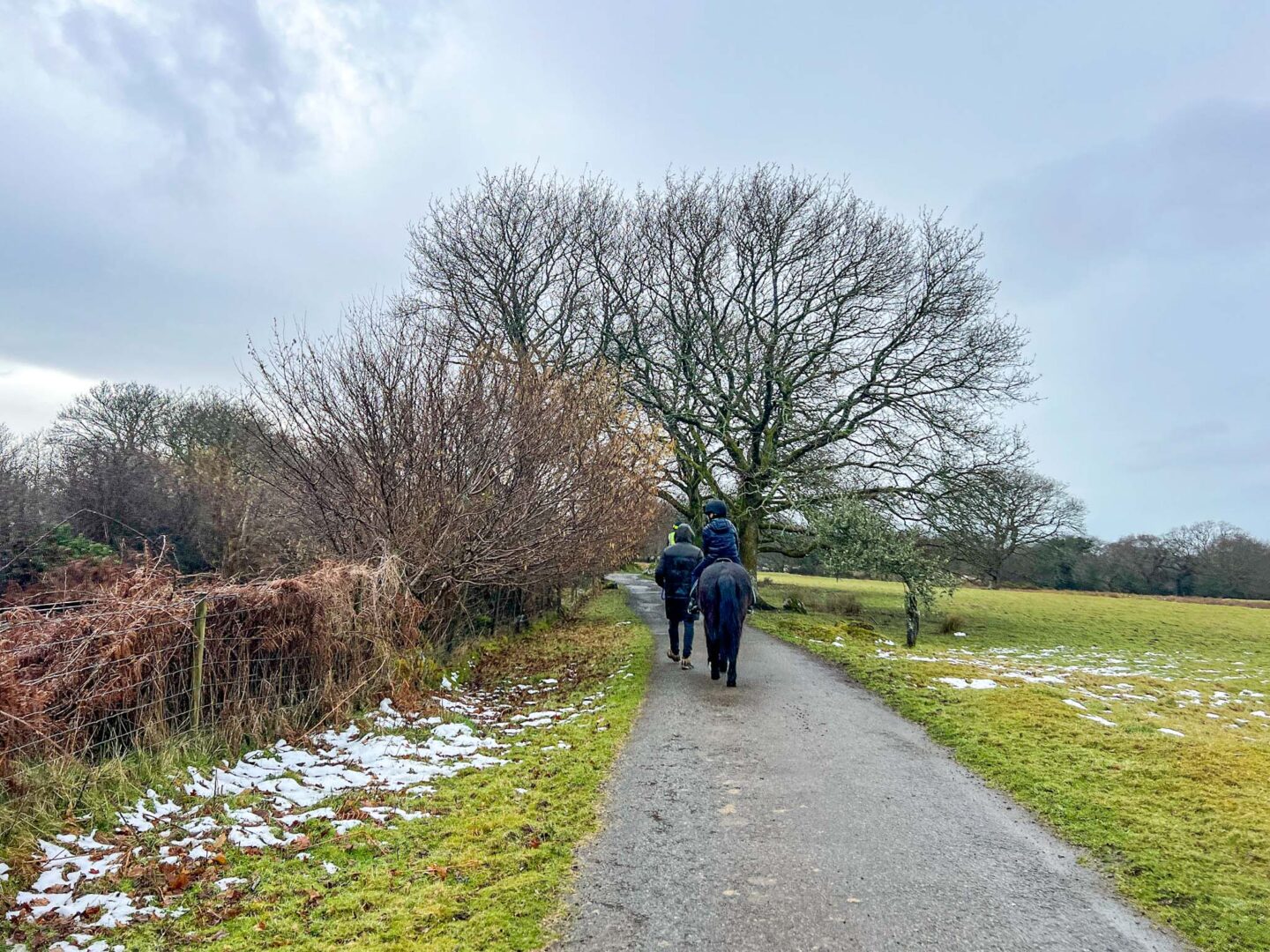 winter in Wales, horse riding in Wales in winter with snow - winter in Wales, horse riding in Wales in winter with snow