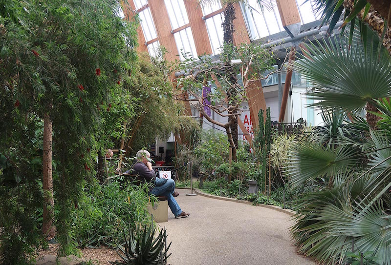 winter-gardens - Liverpool day trip itinerary, days out from Liverpool