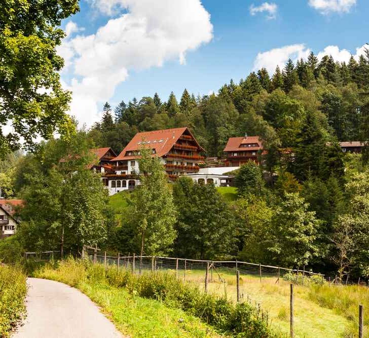 The Wandering Quinn Travel Blog Things to do in Black Forest Germany,