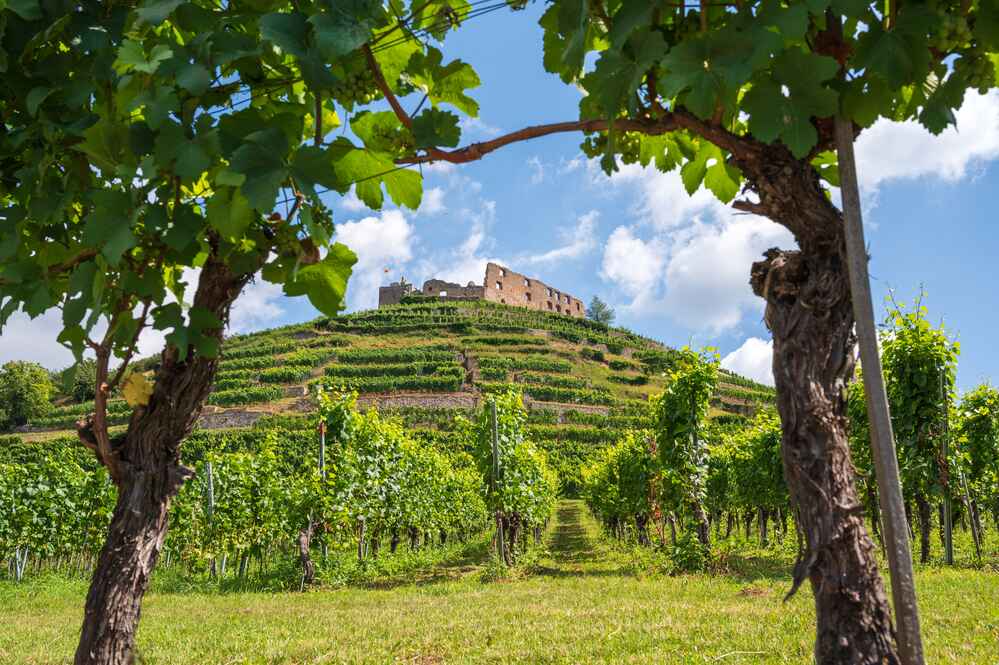 big castle on a hill in Staufen, Things to do in Black Forest Germany, - big castle on a hill in Staufen, Things to do in Black Forest Germany,