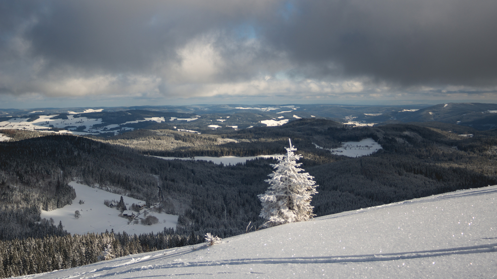 Snow in the Black Forest. View from mountain peak Feldberg, Things to do in Black Forest Germany, - Snow in the Black Forest. View from mountain peak Feldberg, Things to do in Black Forest Germany,