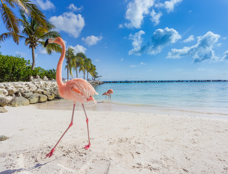 The Wandering Quinn Travel Blog Best Places to Visit in the Caribbean in July & August