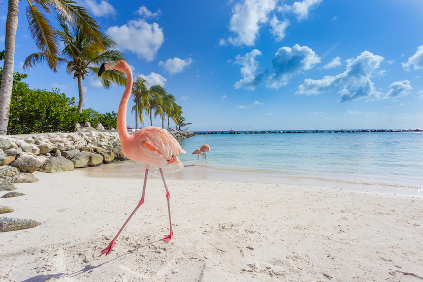 Best Places to Visit in the Caribbean in July & August