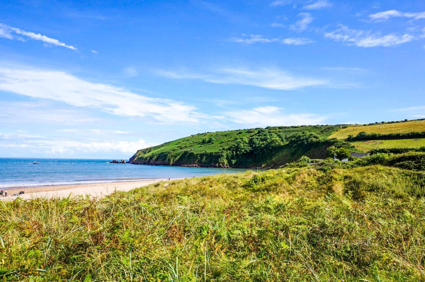 best beaches in South Wales, Freshwater East Beach with sand and grass banks - best beaches in South Wales, Freshwater East Beach with sand and grass banks