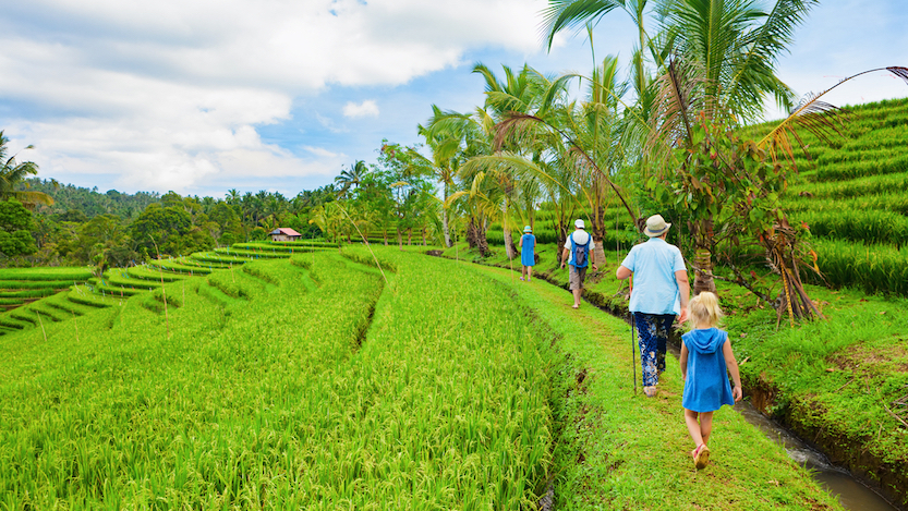 Group of tourists walking by path with rice fields view - Packing List Bali, family walking through rice terraces in Bali