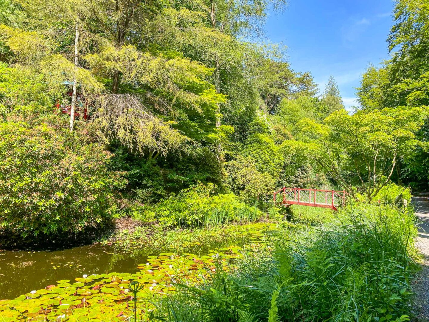 Visiting Portmeirion, gardens in Portmeirion with Japanese bridge - Visiting Portmeirion, gardens in Portmeirion with Japanese bridge