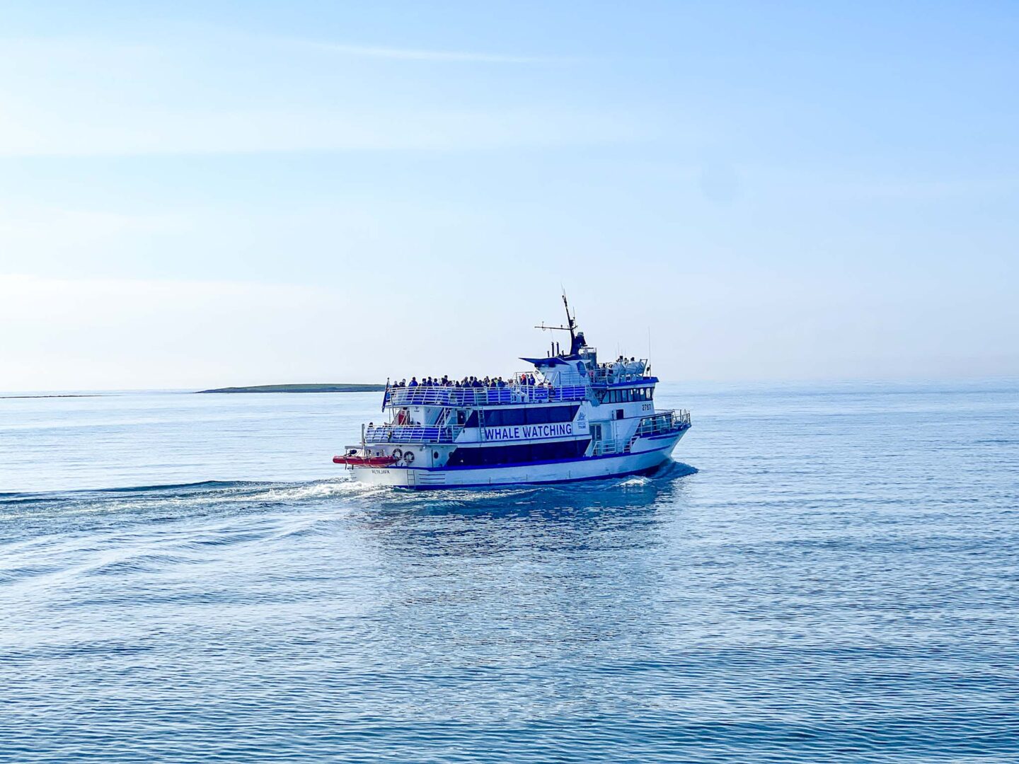 4 day iceland itinerary, whale watching boat in iceland - 4 day iceland itinerary, whale watching boat in iceland