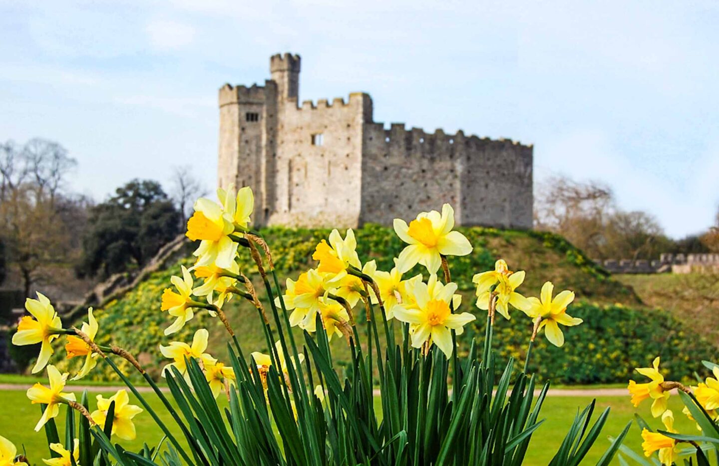 Things to do in Wales in Spring, - Things to do in Wales in Spring,
