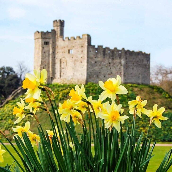 The Wandering Quinn Travel Blog Things to do in Wales in Spring,