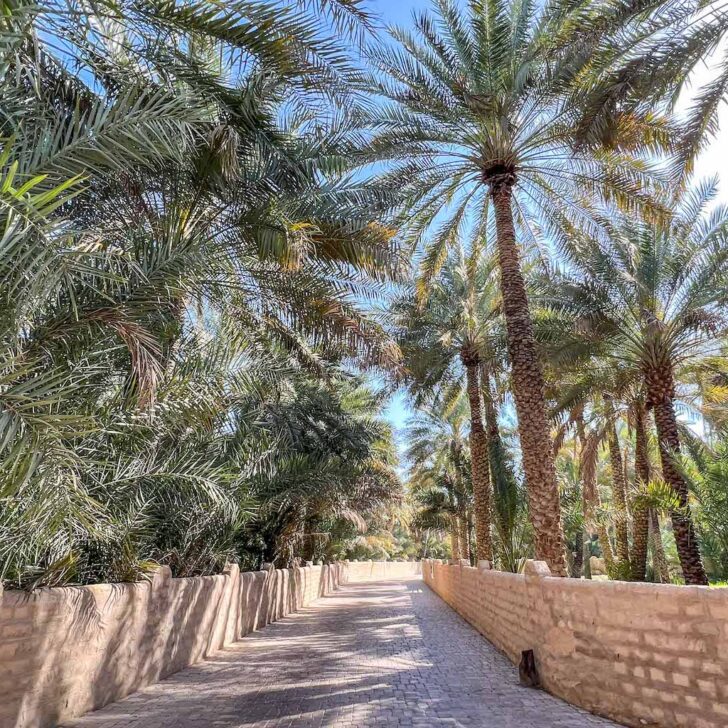 The Wandering Quinn Travel Blog best places to visit in the UAE, inside Al Ain Oasis