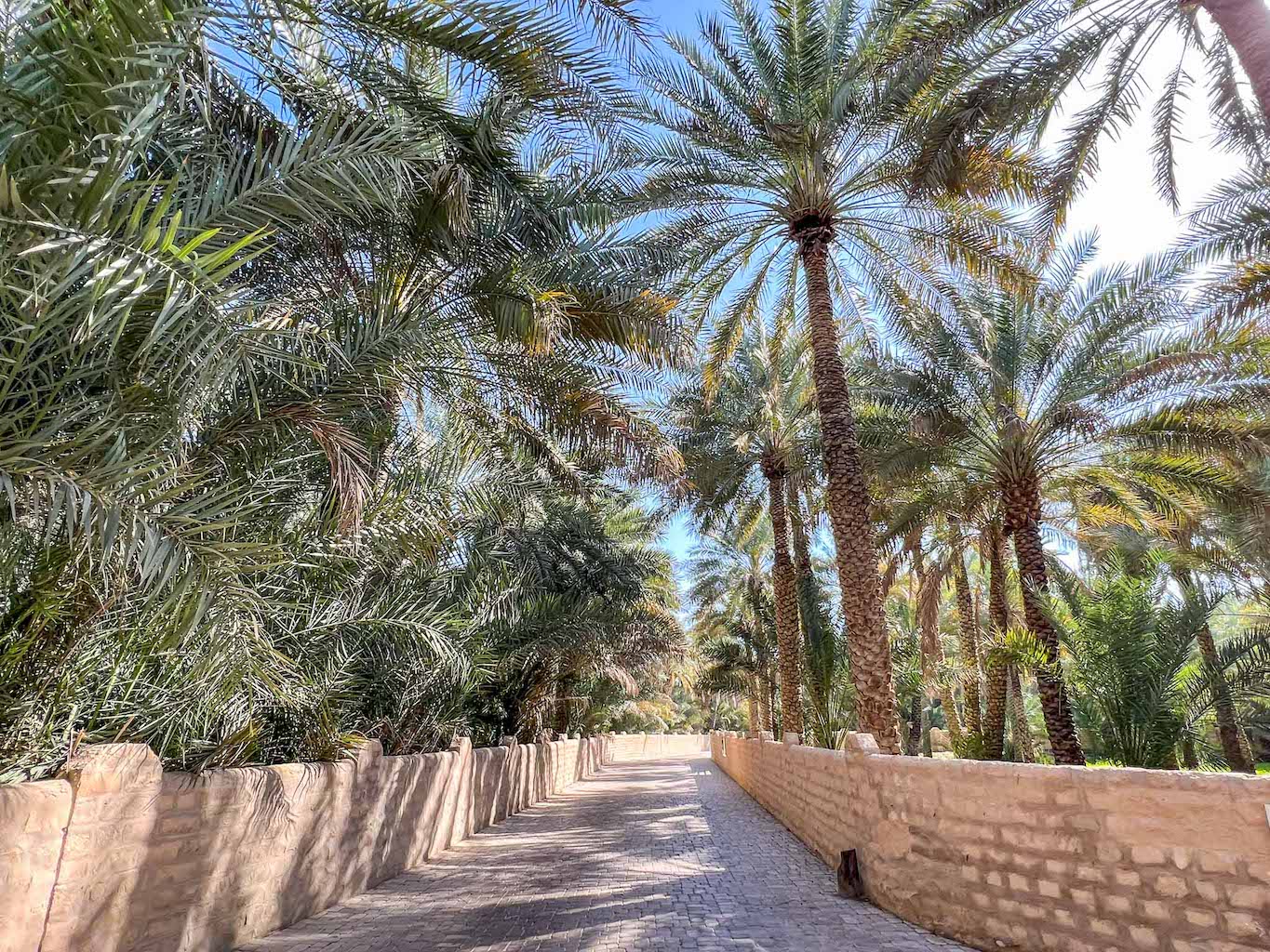 The Wandering Quinn Travel Blog best places to visit in the UAE, inside Al Ain Oasis
