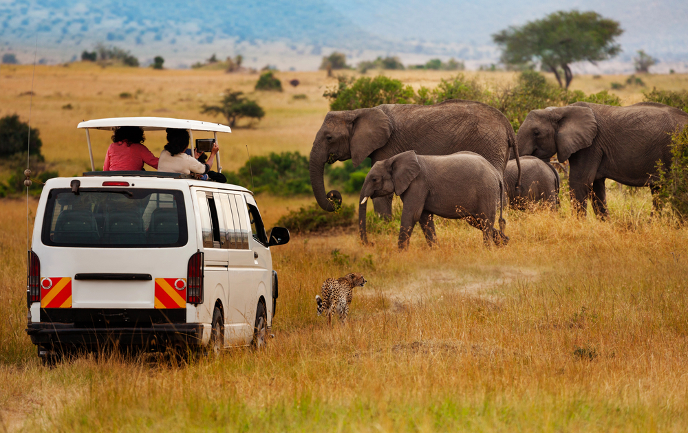 Best countries to visit in August, safari in Kenya Massi Mari seeing Elephants - Best countries to visit in August, safari in Kenya Massi Mari seeing Elephants