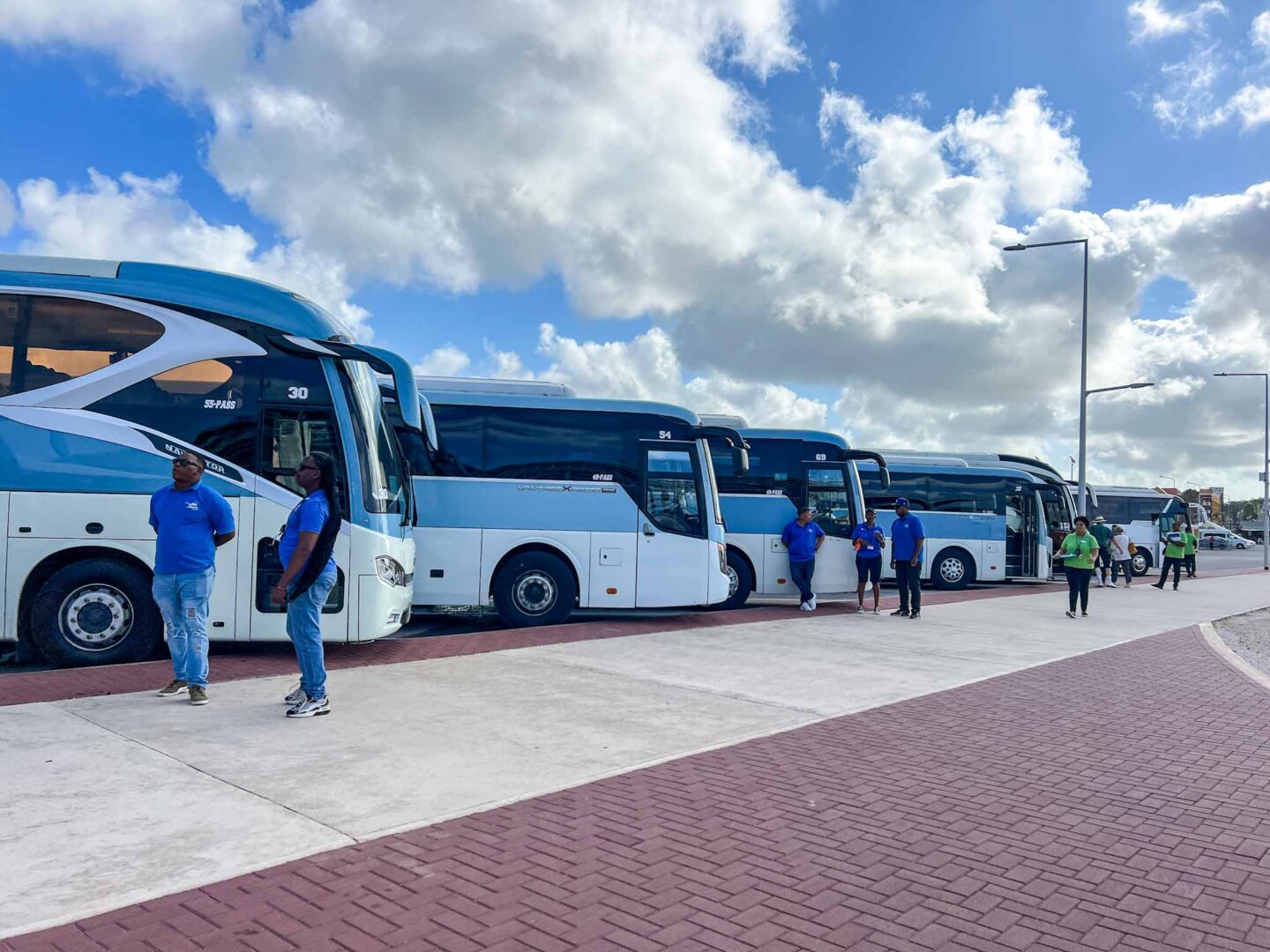 cruise excursion buses waiting to take passengers - cruise excursion buses waiting to take passengers