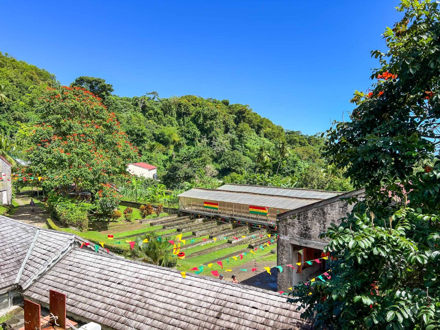 how to see islands on a Caribbean cruise, Grenada chocolate farm - how to see islands on a Caribbean cruise, Grenada chocolate farm