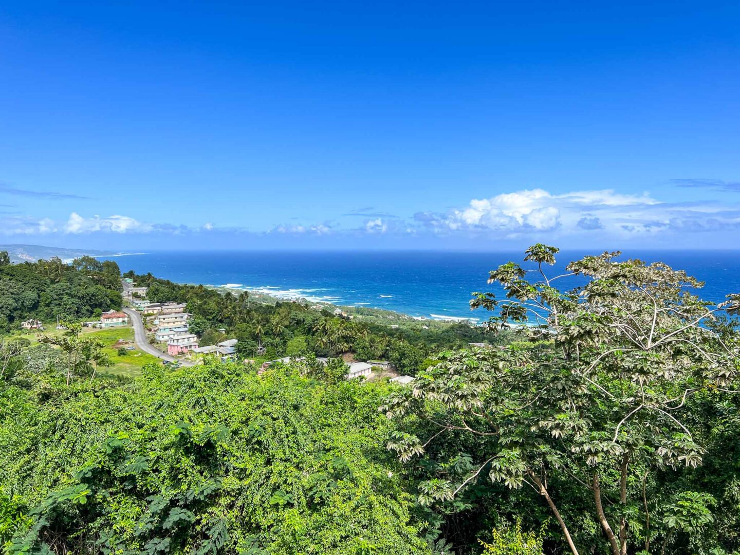 how to see islands on a Caribbean cruise, Barbados viewpoint - how to see islands on a Caribbean cruise, Barbados viewpoint