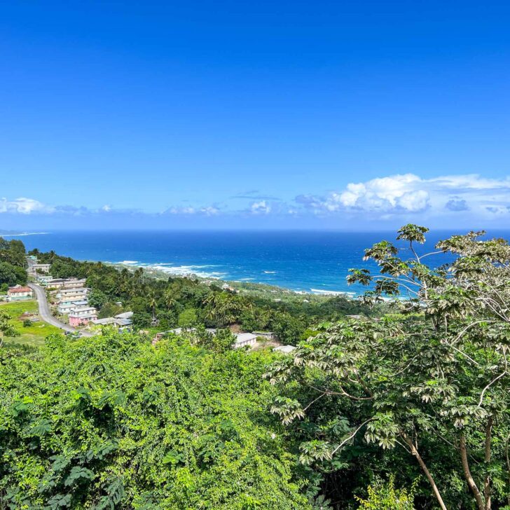 The Wandering Quinn Travel Blog how to see islands on a Caribbean cruise, Barbados viewpoint