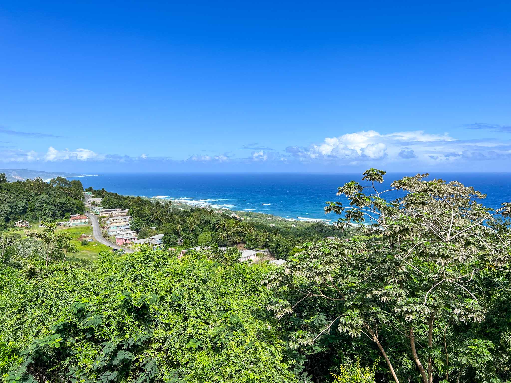 The Wandering Quinn Travel Blog how to see islands on a Caribbean cruise, Barbados viewpoint