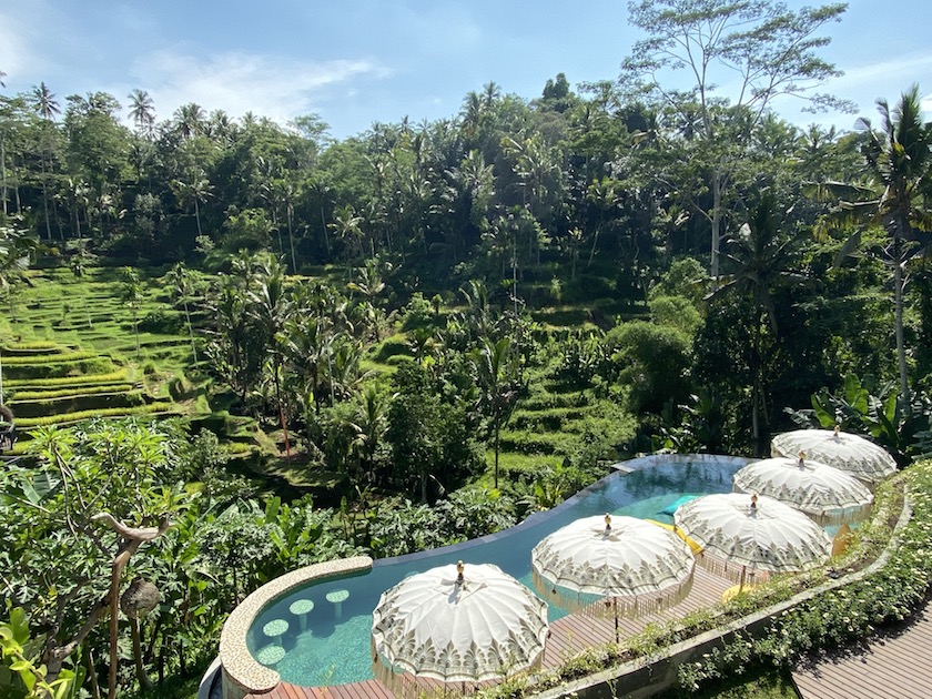 Best countries to visit in August, rice terraces with a pool in Bali - Best countries to visit in August, rice terraces with a pool in Bali