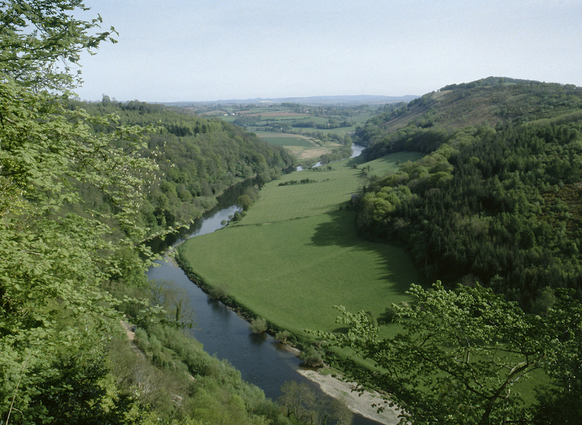 Day trips from Cardiff by train, fields in the Forest of Dean - Day trips from Cardiff by train, fields in the Forest of Dean