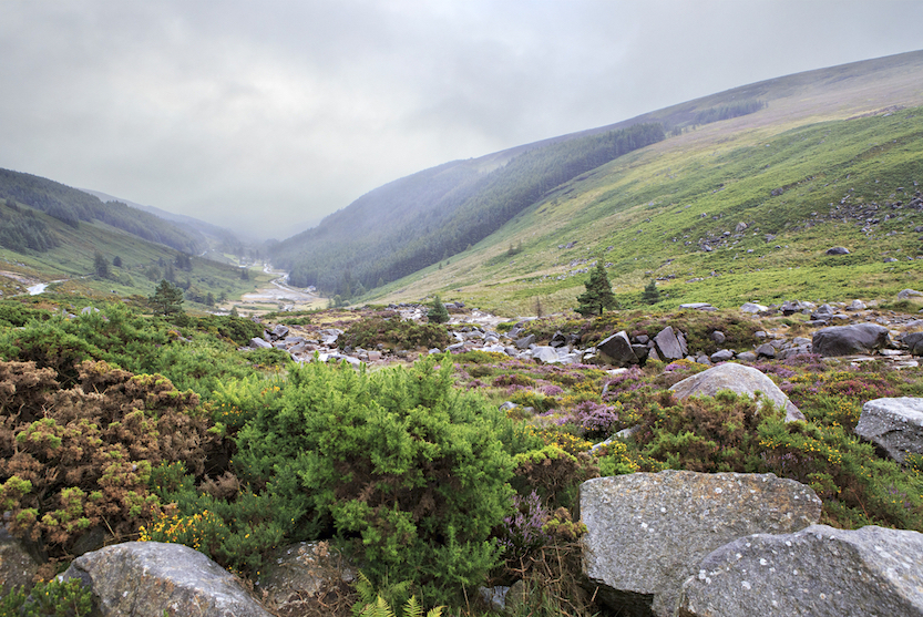 Day trips from Galway, Glacial valley Glendalough in Wicklow Mountains National Park