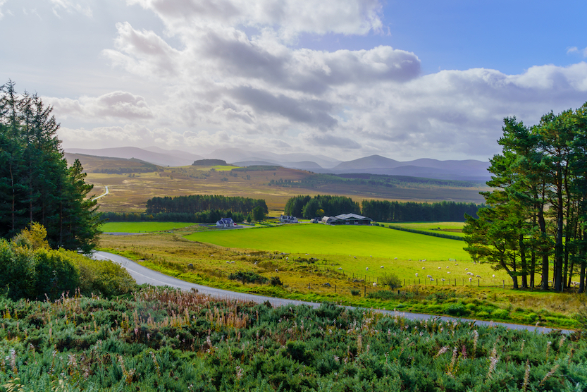 5 day Scotland itinerary, green Cairngorms National Park, - 5 day Scotland itinerary, green Cairngorms National Park,