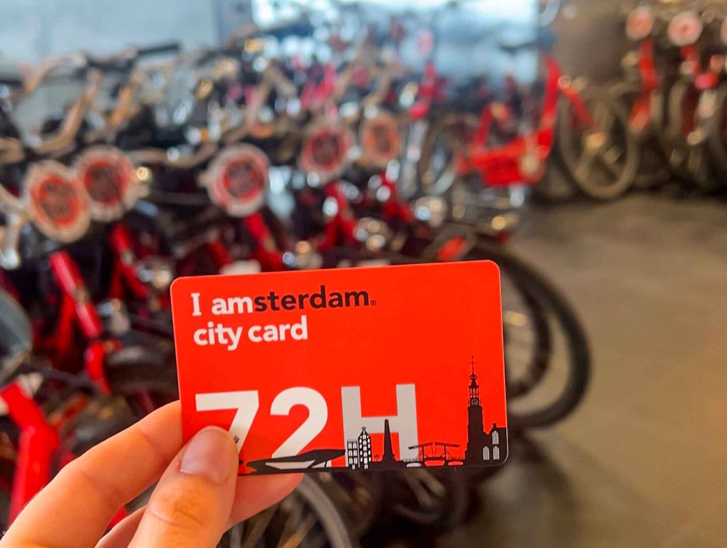 Things to do in Amsterdam Noord, I Amsterdam City Card by bike hire - Things to do in Amsterdam Noord, I Amsterdam City Card by bike hire
