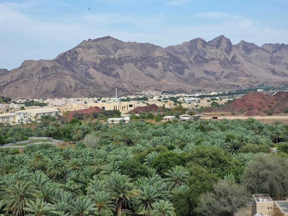 things to do in hatta, hatta village and date farm